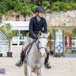 BHPA Bermuda Horse Pony Association Spring Show, March 24 2019-6236