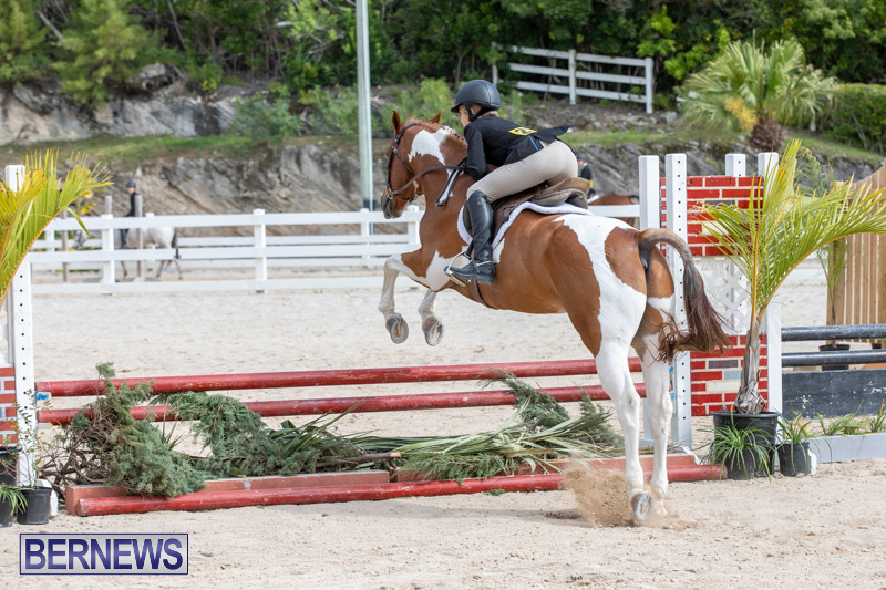 BHPA-Bermuda-Horse-Pony-Association-Spring-Show-March-24-2019-6268
