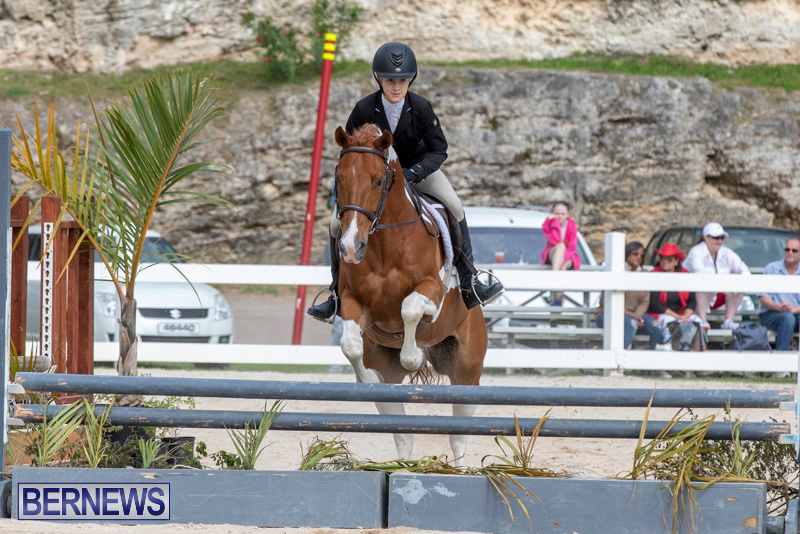BHPA-Bermuda-Horse-Pony-Association-Spring-Show-March-24-2019-6283