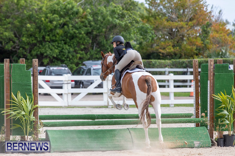 BHPA-Bermuda-Horse-Pony-Association-Spring-Show-March-24-2019-6295