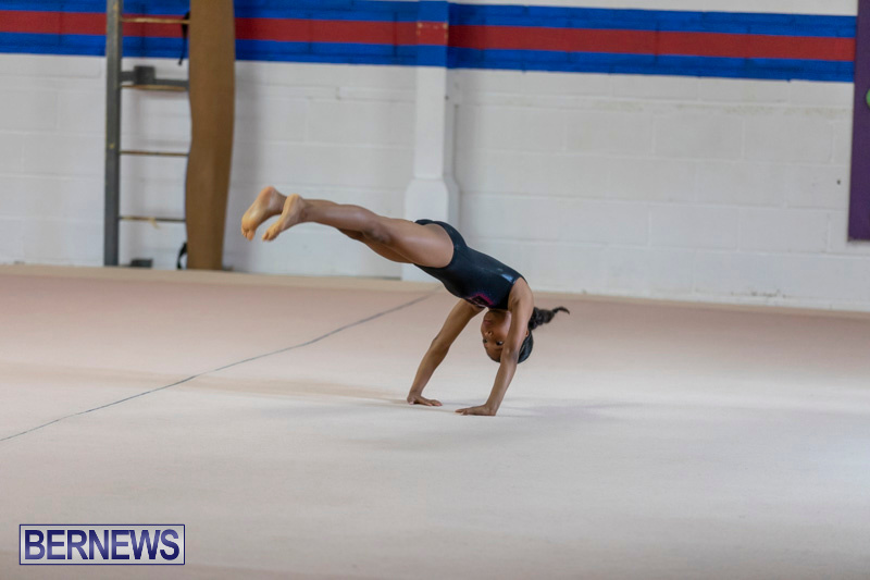 Bermuda-International-Gymnastics-Challenge-March-16-2019-0535