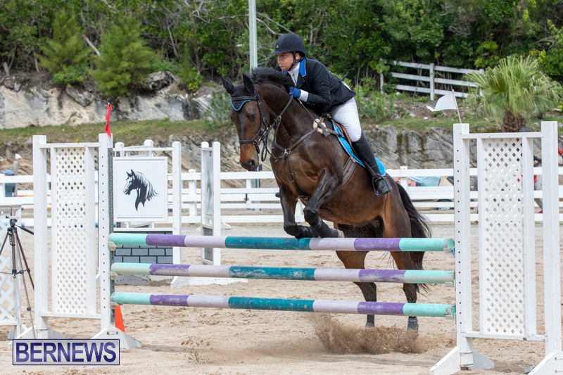 FEI-Jumping-World-Challenge-2019-Competition-2-and-BEF-Support-Show-Bermuda-March-2-2019-1033