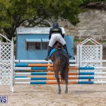 FEI Jumping World Challenge 2019 Competition 2 and BEF Support Show Bermuda, March 2 2019-1038