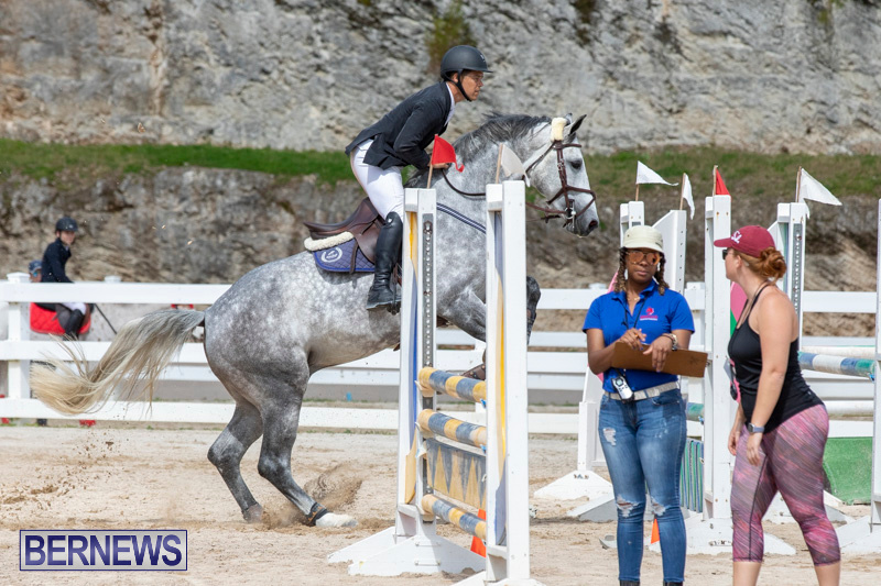 FEI-Jumping-World-Challenge-2019-Competition-2-and-BEF-Support-Show-Bermuda-March-2-2019-1071