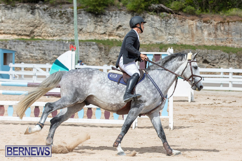 FEI-Jumping-World-Challenge-2019-Competition-2-and-BEF-Support-Show-Bermuda-March-2-2019-1091