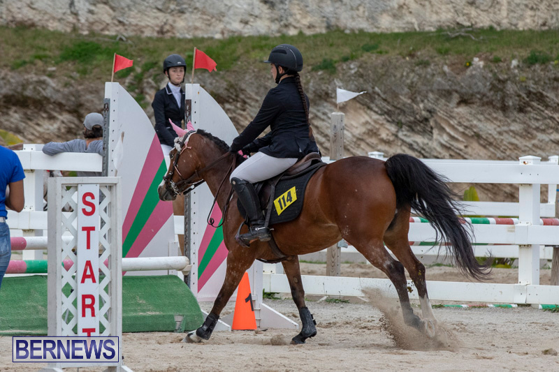 FEI-Jumping-World-Challenge-2019-Competition-2-and-BEF-Support-Show-Bermuda-March-2-2019-1151
