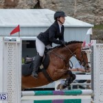 FEI Jumping World Challenge 2019 Competition 2 and BEF Support Show Bermuda, March 2 2019-1157