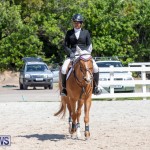 FEI Jumping World Challenge Competition 3 Bermuda, March 9 2019-0013