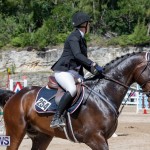 FEI Jumping World Challenge Competition 3 Bermuda, March 9 2019-0020