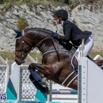 FEI Jumping World Challenge Competition 3 Bermuda, March 9 2019-0028