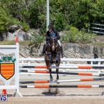 FEI Jumping World Challenge Competition 3 Bermuda, March 9 2019-0041