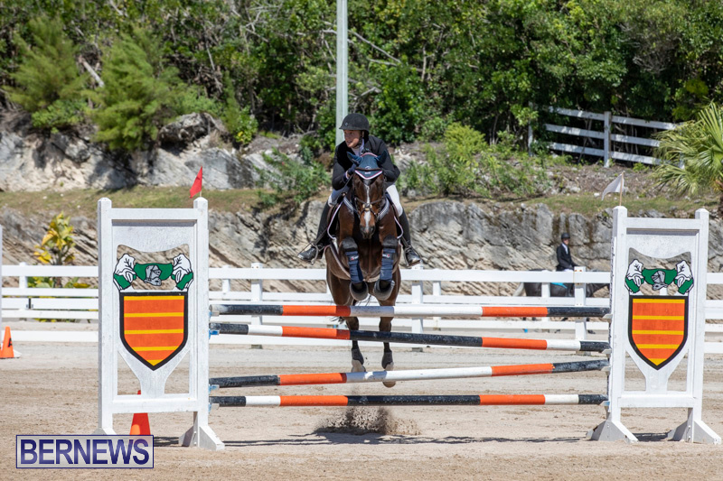 FEI-Jumping-World-Challenge-Competition-3-Bermuda-March-9-2019-0041
