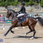 FEI Jumping World Challenge Competition 3 Bermuda, March 9 2019-0043