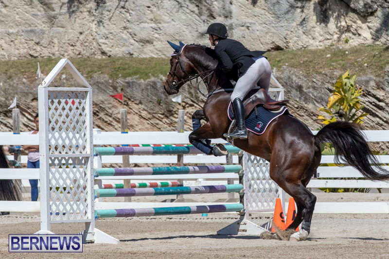 FEI-Jumping-World-Challenge-Competition-3-Bermuda-March-9-2019-0053