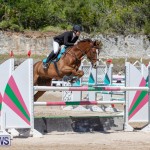 FEI Jumping World Challenge Competition 3 Bermuda, March 9 2019-0077