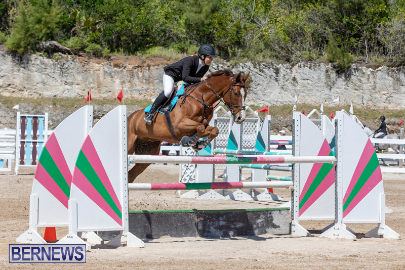 FEI-Jumping-World-Challenge-Competition-3-Bermuda-March-9-2019-0077