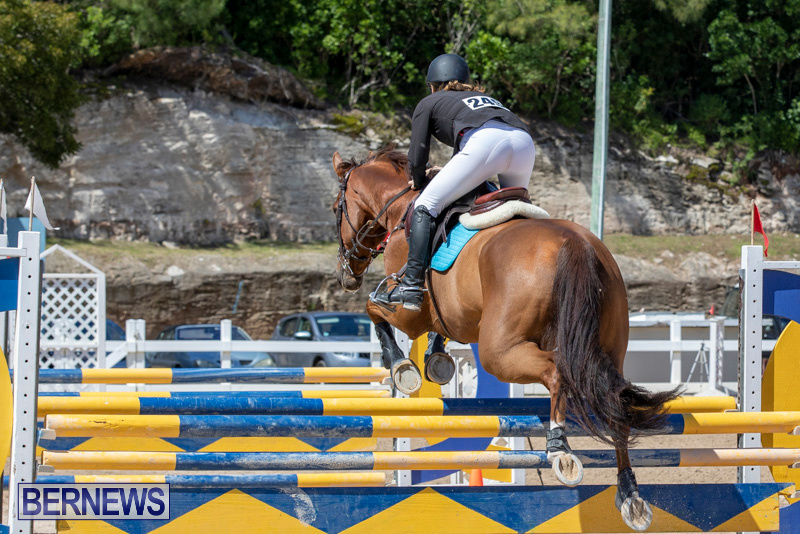FEI-Jumping-World-Challenge-Competition-3-Bermuda-March-9-2019-0087