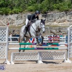 FEI Jumping World Challenge Competition 3 Bermuda, March 9 2019-0110