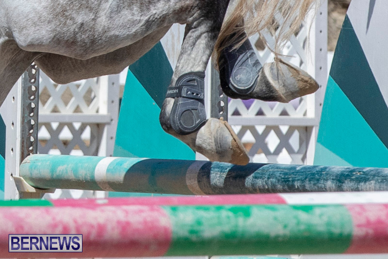 FEI-Jumping-World-Challenge-Competition-3-Bermuda-March-9-2019-0119