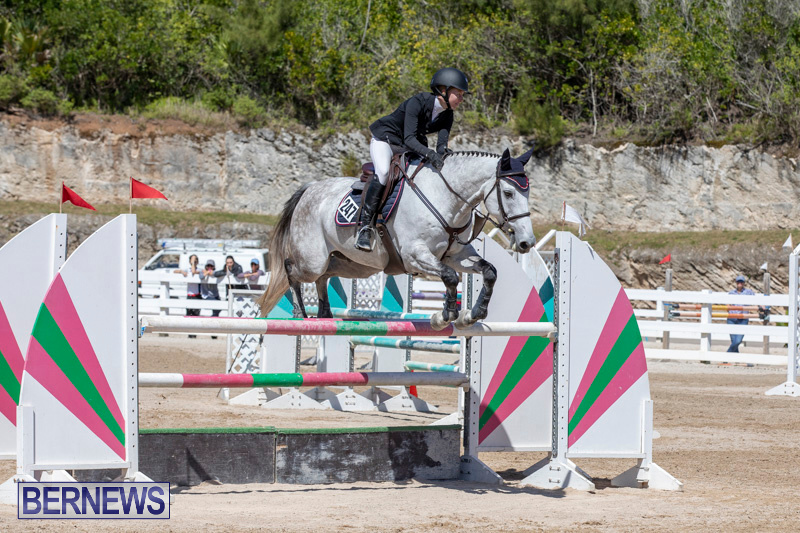 FEI-Jumping-World-Challenge-Competition-3-Bermuda-March-9-2019-0126