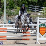 FEI Jumping World Challenge Competition 3 Bermuda, March 9 2019-0136