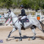 FEI Jumping World Challenge Competition 3 Bermuda, March 9 2019-0142