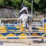 FEI Jumping World Challenge Competition 3 Bermuda, March 9 2019-0147