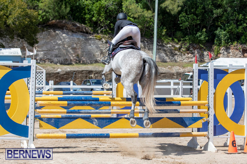 FEI-Jumping-World-Challenge-Competition-3-Bermuda-March-9-2019-0147