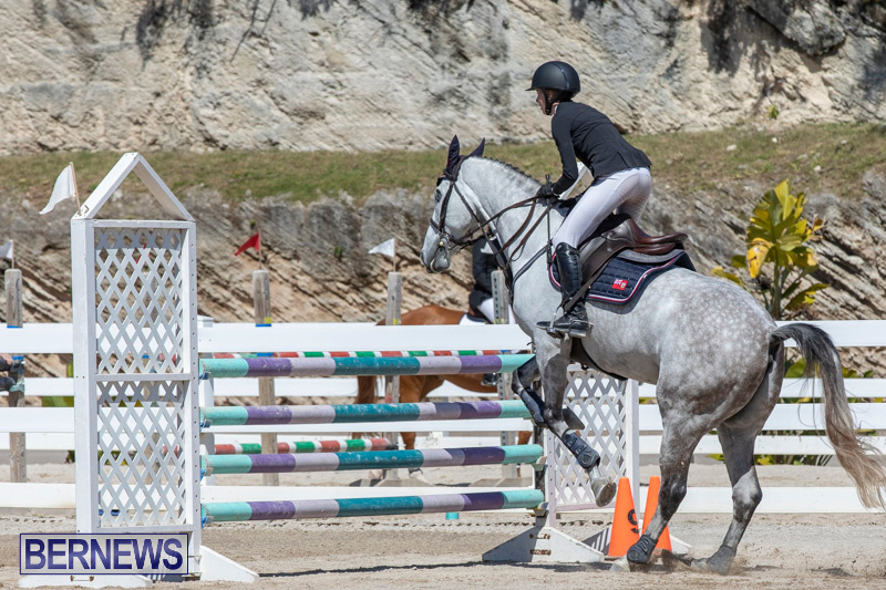 FEI-Jumping-World-Challenge-Competition-3-Bermuda-March-9-2019-0150