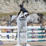 FEI Jumping World Challenge Competition 3 Bermuda, March 9 2019-0153
