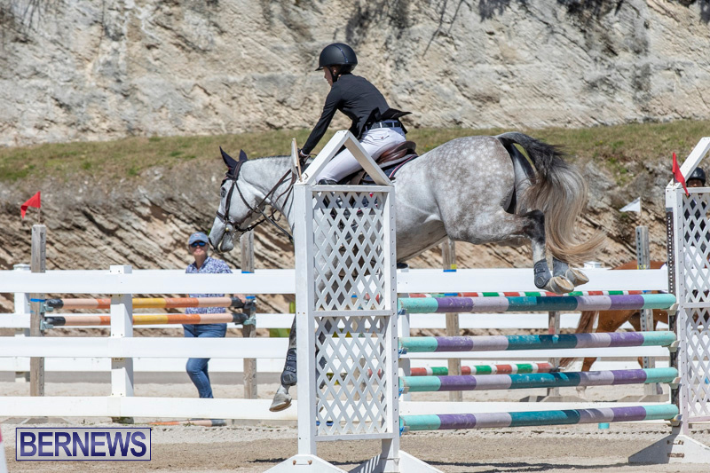 FEI-Jumping-World-Challenge-Competition-3-Bermuda-March-9-2019-0153