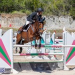 FEI Jumping World Challenge Competition 3 Bermuda, March 9 2019-0168