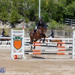 FEI Jumping World Challenge Competition 3 Bermuda, March 9 2019-0174
