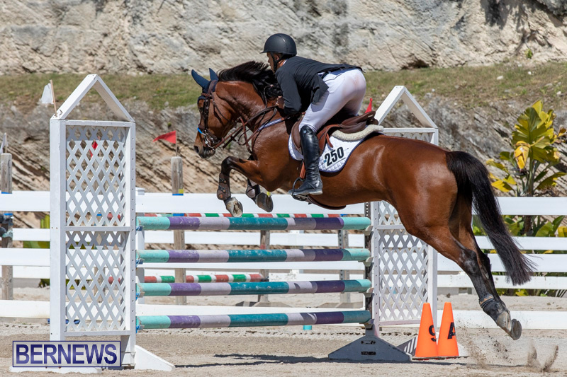 FEI-Jumping-World-Challenge-Competition-3-Bermuda-March-9-2019-0184
