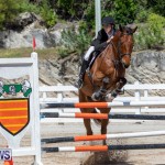 FEI Jumping World Challenge Competition 3 Bermuda, March 9 2019-0206