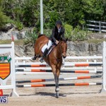 FEI Jumping World Challenge Competition 3 Bermuda, March 9 2019-0208