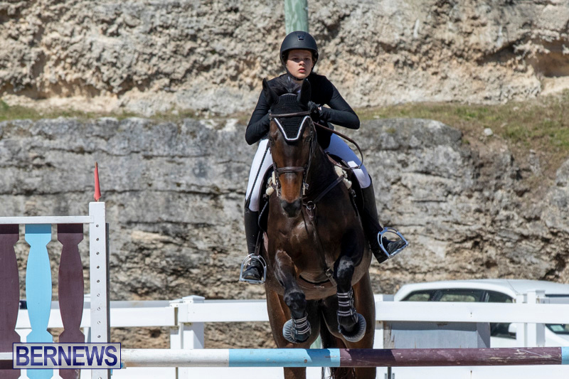 FEI-Jumping-World-Challenge-Competition-3-Bermuda-March-9-2019-0218