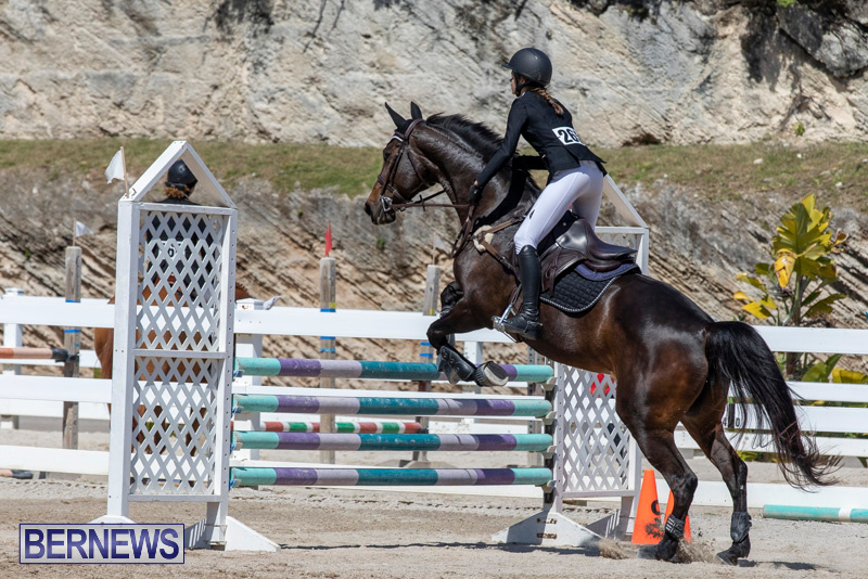 FEI-Jumping-World-Challenge-Competition-3-Bermuda-March-9-2019-0240