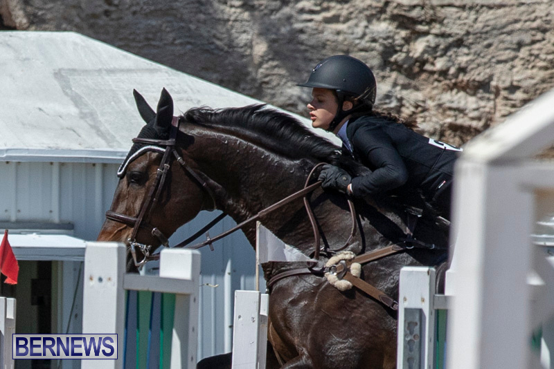 FEI-Jumping-World-Challenge-Competition-3-Bermuda-March-9-2019-0243