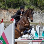 FEI Jumping World Challenge Competition 3 Bermuda, March 9 2019-0263