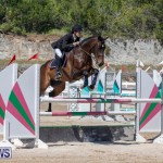FEI Jumping World Challenge Competition 3 Bermuda, March 9 2019-0264