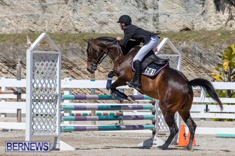 FEI-Jumping-World-Challenge-Competition-3-Bermuda-March-9-2019-0291