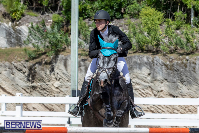 FEI-Jumping-World-Challenge-Competition-3-Bermuda-March-9-2019-0325