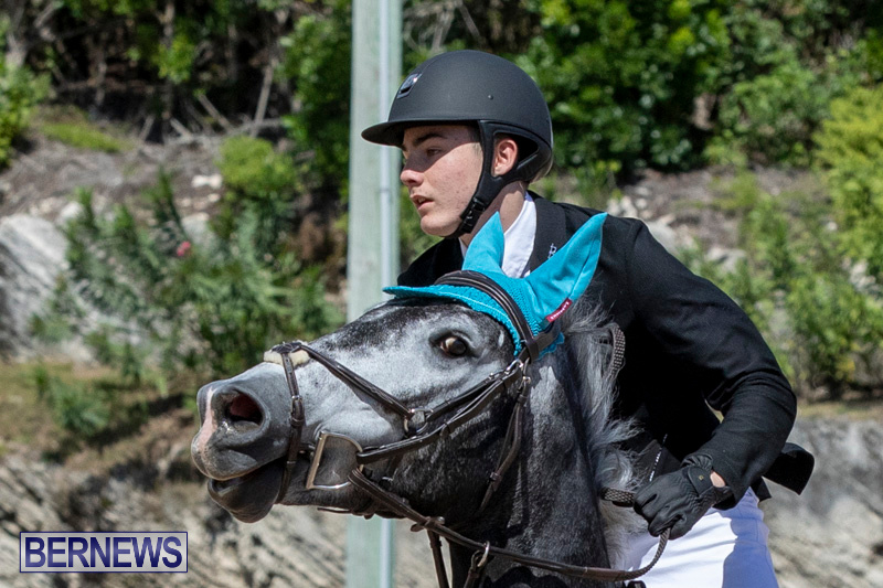 FEI-Jumping-World-Challenge-Competition-3-Bermuda-March-9-2019-0330