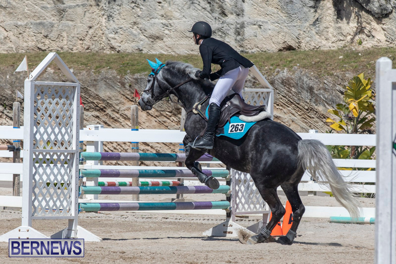 FEI-Jumping-World-Challenge-Competition-3-Bermuda-March-9-2019-0338