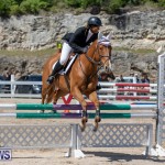 FEI Jumping World Challenge Competition 3 Bermuda, March 9 2019-0349