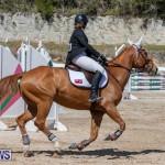 FEI Jumping World Challenge Competition 3 Bermuda, March 9 2019-0353