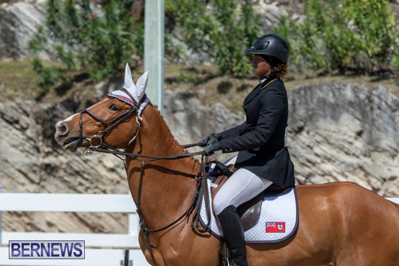 FEI-Jumping-World-Challenge-Competition-3-Bermuda-March-9-2019-0354