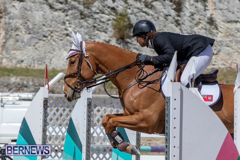 FEI-Jumping-World-Challenge-Competition-3-Bermuda-March-9-2019-0356