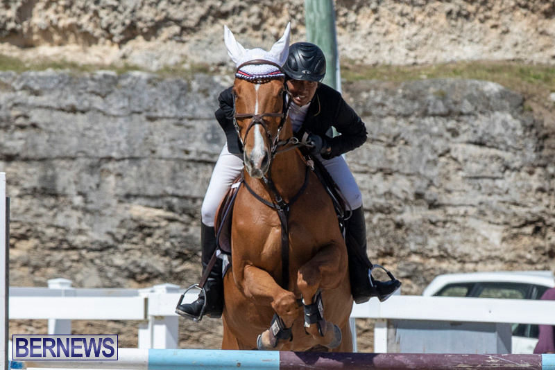 FEI-Jumping-World-Challenge-Competition-3-Bermuda-March-9-2019-0361